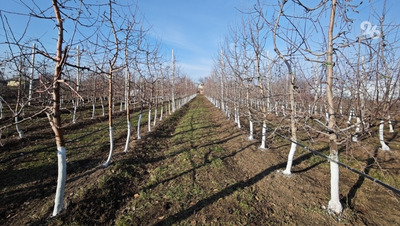 Первый школьный сад открыли в станице Барсуковской — глава Ставрополья
