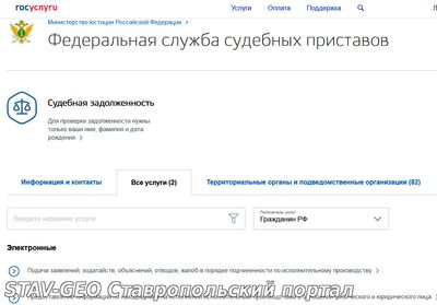 О запрете на выезд за пределы Российской Федерации можно узнать на портале Госуслуг