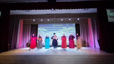 В г. Михайловске прошел фестиваль Шпаковского муниципального округа творческих коллективов ветеранов войны и труда Родники России