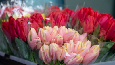 Подарки к Дню учителя обойдутся ставропольцам в 3,5 тыс. рублей