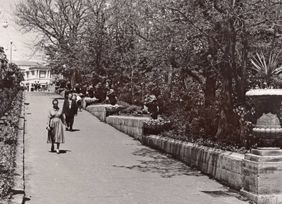 Декоративная стенка Дельфины в Ставрополе, 1960-й год