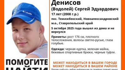 Пропавшего подростка в бежевых спортивных штанах и зелёной майке ищут на Ставрополье