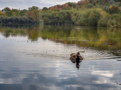 Елагин пруд. Ставрополь