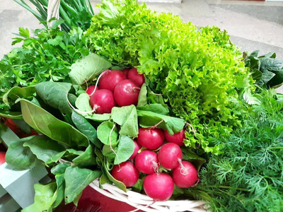 С начала года андроповцы заключили 91 соцконтракт