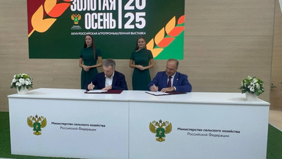 Ставропольский университет запускает ИИ-платформы для агробизнеса