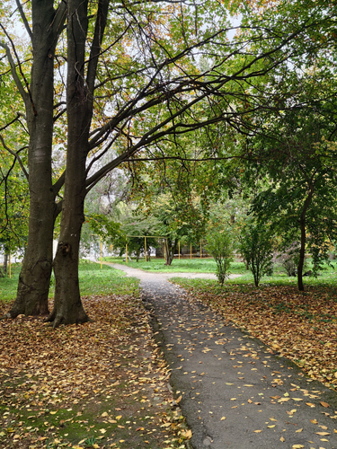 Осенний СНИИСХ