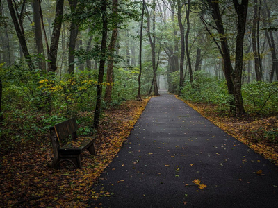Осенние дорожки в парке Победы.