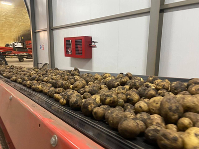 Ставропольские аграрии собрали более половины урожая картофеля