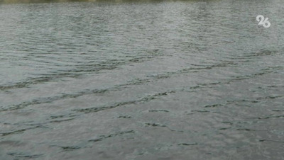 Недропользователь незаконно ловил рыбу в Кубани в Новоалександровском округе