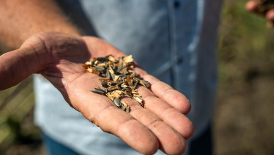 Бывший заключённый на Ставрополье обманул колонию по госконтрактам на 11,7 млн