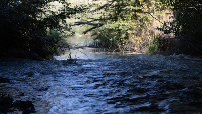 В Невинномысске по иску прокуратуры очистят реку Кубань от сточных вод