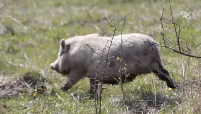 Советы по безопасности в связи с началом сезона охоты и рыбалки дали россиянам