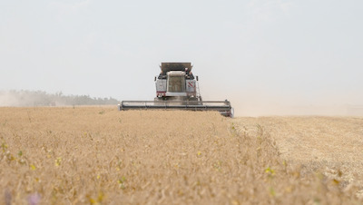 Сельхозкооператив на Ставрополье вернул в казну грант в 70 тыс. рублей