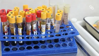 Андроповская райбольница несвоевременно брала анализы у инфекционных больных