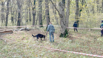 Миномётную мину нашли на выезде из Железноводска