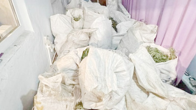 Около 60 кг наркотиков изъяли у жителя Минераловодского округа