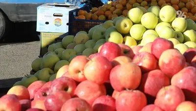 Более 1,5 тонн яблок и 2 тонн питьевой воды отправили в зону СВО из Предгорья