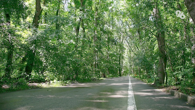 Грибник нашёл подозрительное устройство в лесу на юге Ставрополья