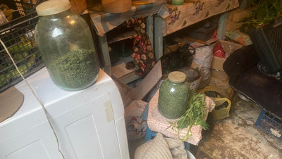 Житель Зеленокумска хранил в банках 2 кг марихуаны