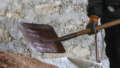 В Курском округе мужчина поссорился с сыном сожительницы и ударил его лопатой