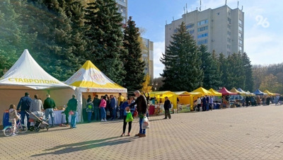 Праздничная и традиционные ярмарки пройдут в Ставрополе в начале ноября