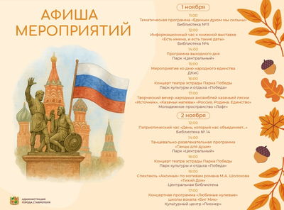 #афиша посвящённая Дню народного единства