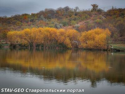 Елагин пруд. Ставрополь