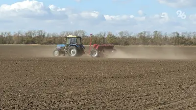 Аграрии Предгорья засеяли озимыми 60% полей