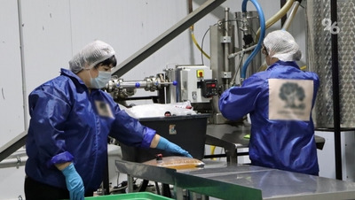 Приём заявок на конкурс рабочих профессий в Ставрополе завершается