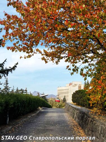 Осень в городе