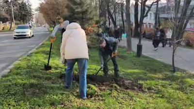 Саженцы дуба, клёна, каштана и других деревьев высадили на бульваре в Ставрополе