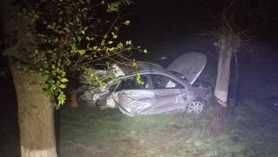 Водитель и пассажир легковушки погибли, врезавшись в дерево на Ставрополье