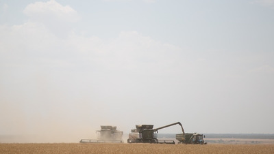 Политолог Игнатовский: Ставрополье укрепляет свою позицию в аграрной политике