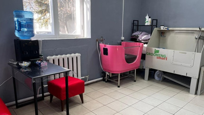 Жительница Предгорья открыла груминг-салон благодаря соцподдержке