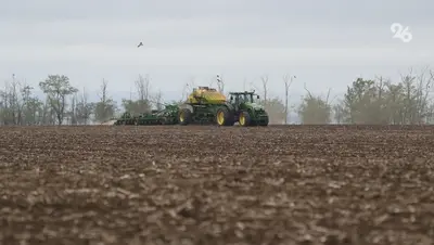 Гербициды могли стать причиной пожелтения всходов в хозяйстве на Ставрополье