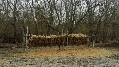 Более 3 тыс. подкормочных площадок для птиц и животных создали на Ставрополье