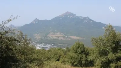 На Ставрополье рассмотрят возможность создания большого ботсада в Пятигорске