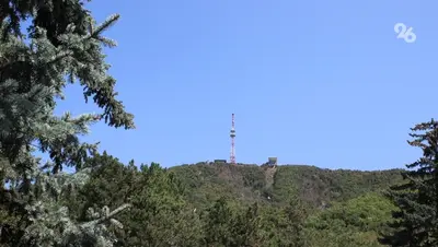 Прокуратура Пятигорска обязала привести в порядок документы ботсада