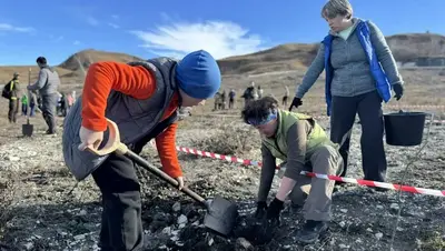 Под Кисловодском высадили более 4 тыс. деревьев