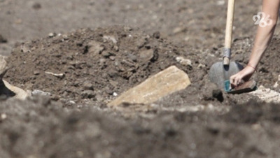 Останки 132 бойцов Красной Армии нашли на Ставрополье в этом году