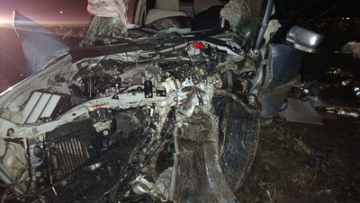 Злостный нарушитель ПДД за рулём иномарки въехал в дерево на Ставрополье