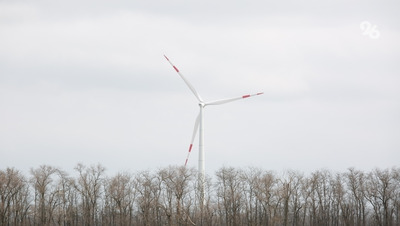 Глава Ставрополья: регион получил отличную выгоду от развития ветроэнергетики