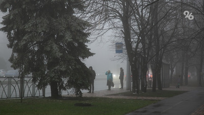 Автоинспекторы предупреждают о тумане в Александровском округе