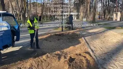 Деревья около Старого озера в Кисловодске спиливают из-за грибкового заболевания