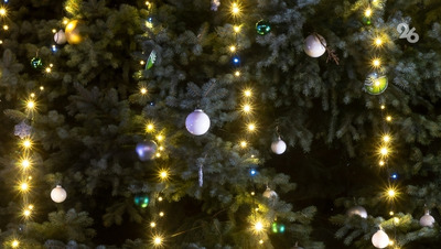 Главную городскую ёлку зажгли в Ессентуках