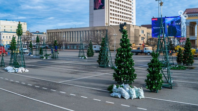 Ставропольцы, состоящие в браке, больше холостых любят Новый год