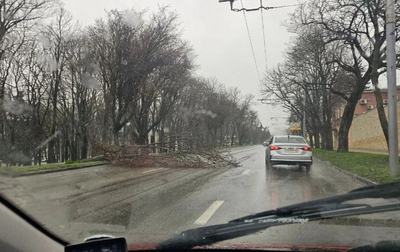 Дерево упало на Карла Маркса