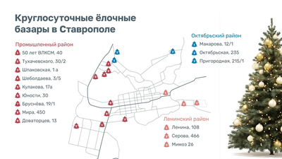 15 ёлочных базаров откроют в Ставрополе в преддверии Нового года