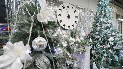 Каждый четвёртый ставрополец мечтает получить деньги в подарок на Новый год