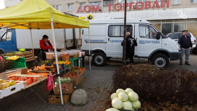 Дневные и вечерние ярмарки 20 и 21 декабря будут работать в Ставрополе